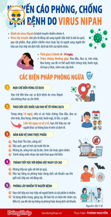 🛑 THÔNG TIN VỀ DỊCH BỆNH DO VI RÚT NIPAH VÀ KHUYẾN CÁO PHÒNG CHỐNG TẠI VIỆT NAM